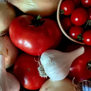 Fresh tomatoes, onions, and garlic