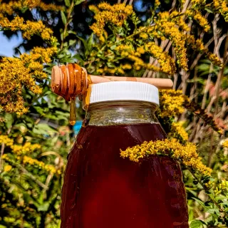 Local honey