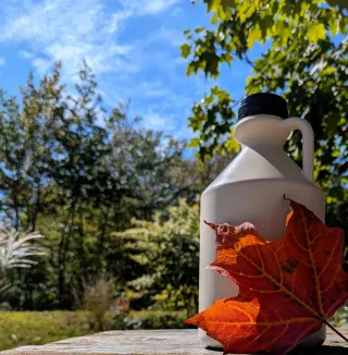 Real maple syrup